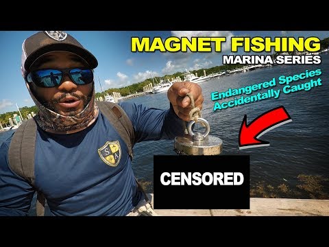 MAGNET FISHING MARINAS Pt. 2 Rare Fish Caught | Monster Mike Fishing