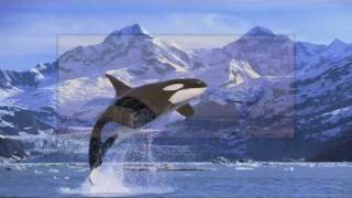 How can i keep from singing -  Enya