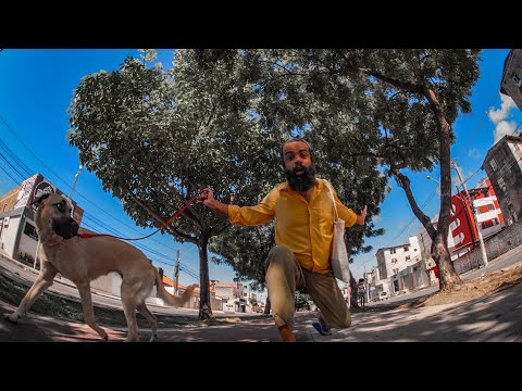 The Baggios - Baggios Encontra Siba (Clipe Oficial)