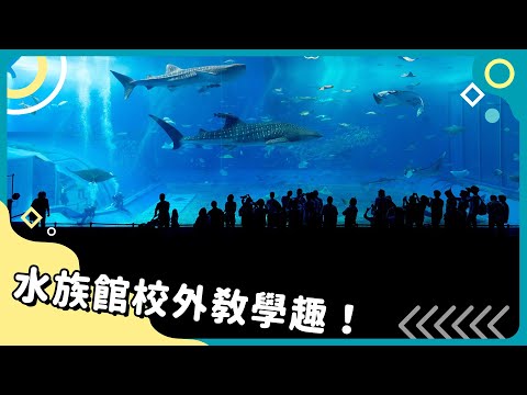 20250303 Unit1-1【水族館校外教學趣!】-完整課程 (20250303 Unit1-1【水族館校外教學趣!】-完整課程)