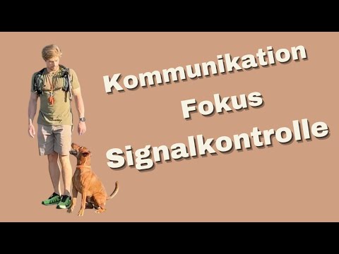 BLICKKONTAKT: Die Basis für alles im Hundetraining