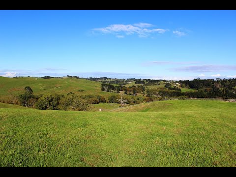 3 Charity Way, Stillwater, Rodney, Auckland, 0房, 0浴, 乡村物业建地