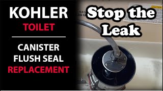 Kohler Toilet Leaking Canister Flush Valve Seal Replacement Instructions