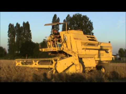 Loonw. Coppein - Woesten