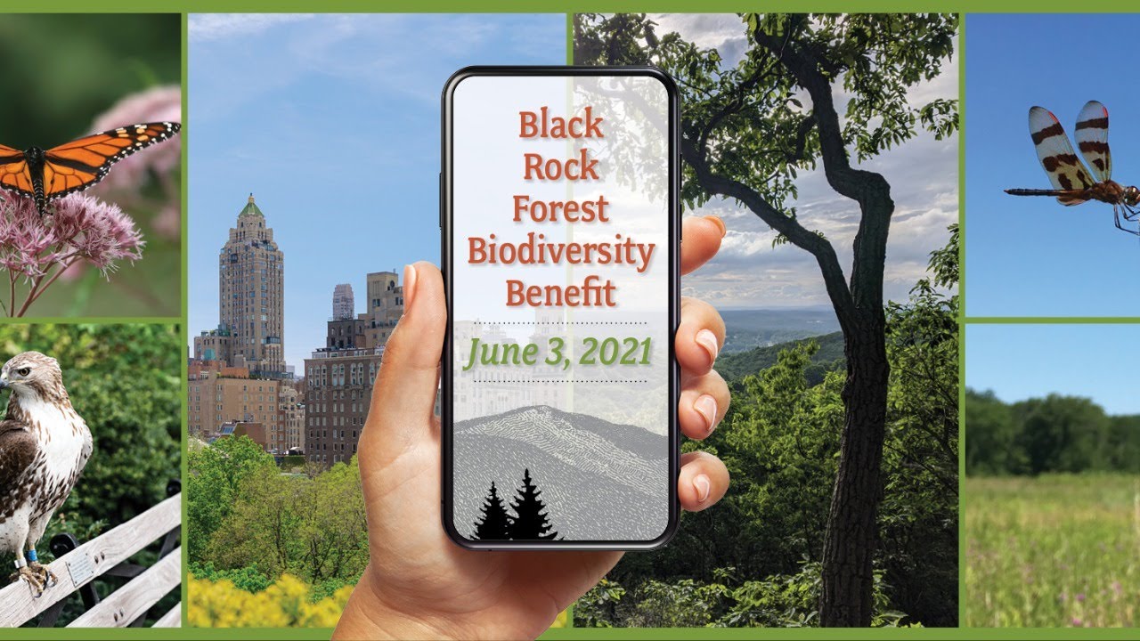  Biodiversity Benefit (June 3, 2021) 