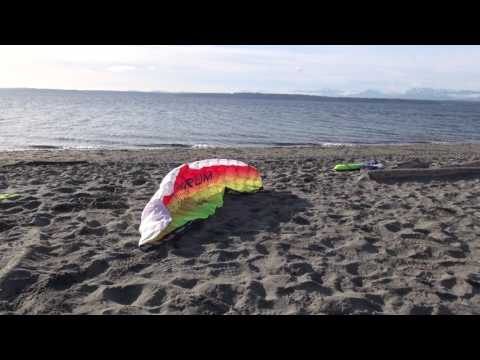 Copy of Dual Line Foil - Tantrum Series