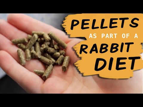 YouTube video about: Can goats eat rabbit pellets?