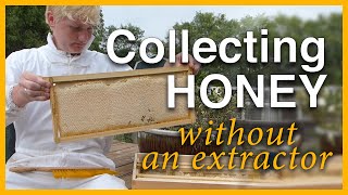 Beginning Beekeeping: Collecting Honey Without Extractor - GSB S1 E4