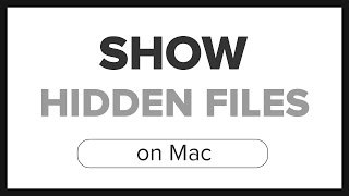 How to Show Hidden Files on a Mac (Using Terminal)