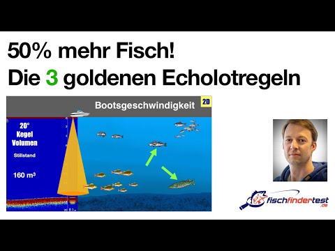 ► Echolot-Tipps: 50% mehr Fisch durch die 3 goldenen Echolot-Regeln - Rating ★★★★★ (2023 Update)