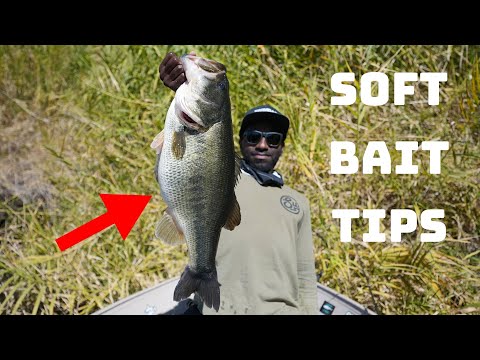 Struggling To Catch Fish On Soft Swimbaits? Try These Tips & Tricks! FT. @WorkingClassZeroFishing