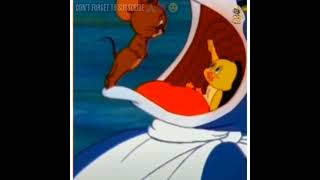 Download lagu Nobody loves me  😞😞Tom and Jerry WhatsApp status , heartbeat status 😔😔 mp3