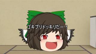 （ゆっくり茶番）今度は魔理沙にドッキリしてみた