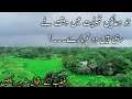 Jo Duayn Qabooliyat Me Waqt Ly Rahi Islamic Status Whatsapp Status Islami Quotes