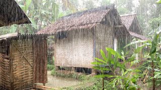 Download lagu Wah.. Seenak Ini, Bikin Ketagihan Datang Ke Kampung Indah, Ketika Musim Hujan Di Pedesaan Jawa Barat mp3