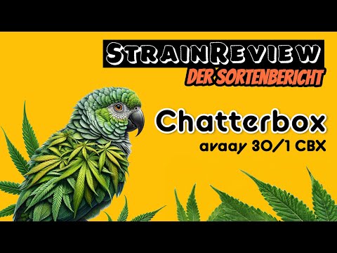 Der medizinische Sortenbericht - Chatterbox - avaay 30/1 CBX
