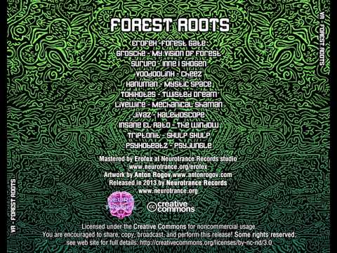 06 Toxixot 25 - Twisted Dream