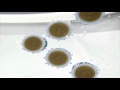 Scrubbing Bubbles Sound Design Practice 3