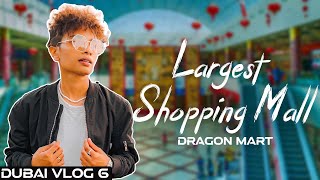 Largest Shopping Mall  Dragon Mart  Dubai Vlog 6  
