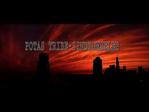 POTAS TRIBE -  SINDROMSELEB (Official Audio)