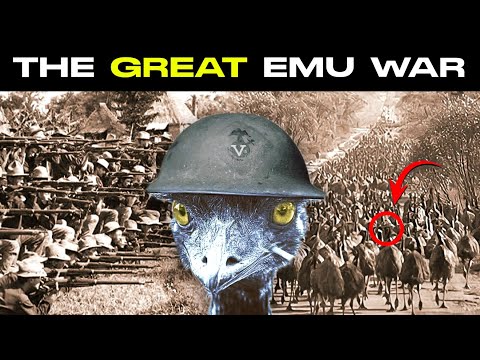 The Great Emu War, Australia 1932, Explained