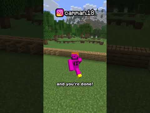 the easiest way to test horse speed