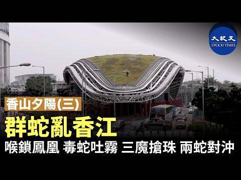 香港蛇陣破解