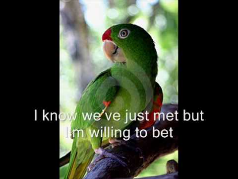 It`s got to be Love by Buck Fizz with lyrics