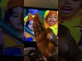 Sesame Street Telly And The Gang The Alphabet Song Baa Baa Black Sheep Twinkle Twinkle Little Star