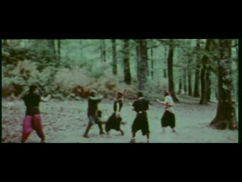 Excerpt from "Pugni, Pirati e Karaté" (Joe D'Amato 1973) - Karate fighting Italian style