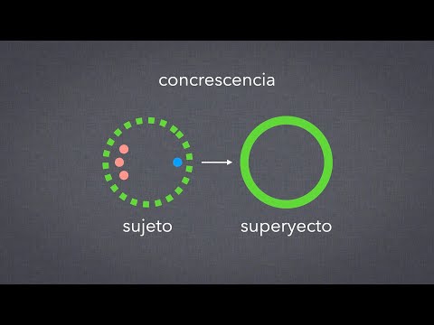 Process and reality, pt. 6/7