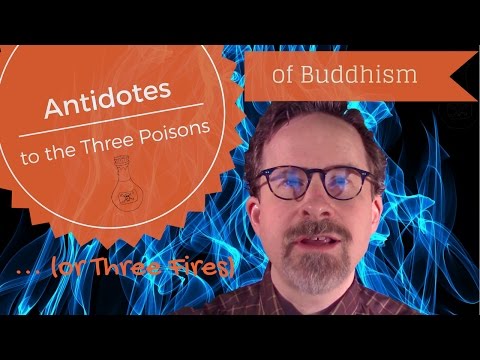 The Three Poisons of Buddhism: Antidotes