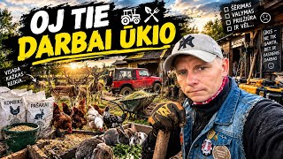Ryto vakaro veiklos ūkyje | 2026 09 28