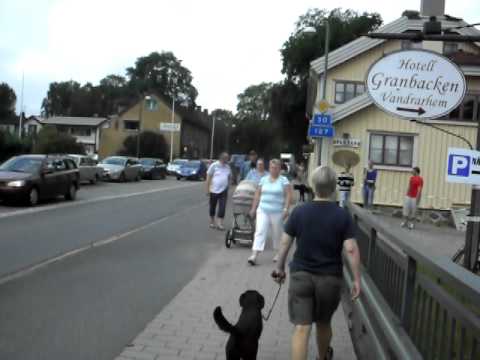 14 aug 2010 vrigstad marknad, älmhult mm 016.AVI