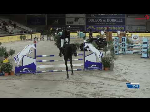 Vintage (2018 vagabond de la pomme ) - hengst