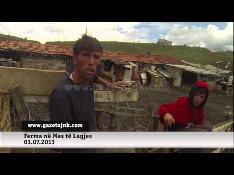 GazetaJNK: Ferma në Mes të Lagjes 01.07.2013