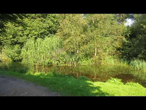 Dank U voor deze nieuwe morgen (JdH 885)