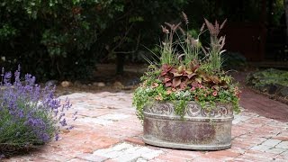 Container for Green Profit Magazine // Garden Answer