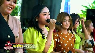 Download lagu NGOBOR KODOK - ALL ARTIST NEW PALLAPA [NEW PALLAPA REMTANG] mp3