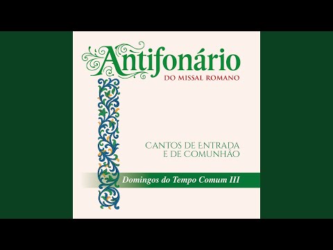 Entrada do 33º Domingo do Tempo Comum - Diz o Senhor, meus pensamentos são de paz
