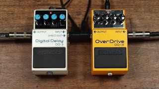 Boss DD-3 Digital Delay - What To Know & Where To Buy