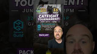 Catfight Tournament in Phoenix!