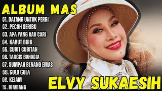 Download lagu Elvy Sukaesih Full Album // Sang Ratu DANGDUT  mp3