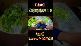 危険…このセロリ止まりません #セロリ #セロリレシピ #簡単レシピ