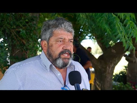 Entrega de cachorros Maremma - Entrevista Ariel de Armas / Presidente de la SFR Rincón de Velázquez