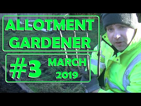 Allotment Garden 2019 #3 - Getting ready for spring time - An allotment diary
