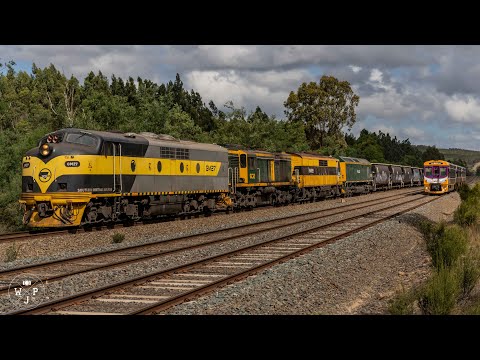 TRAINS: FEBUARY 2020