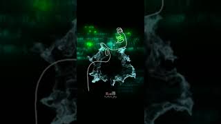 Download lagu jedag jedug balada boa#fyp #shorts mp3 Download lagu jedag jedug balada boa#fyp #shorts mp3