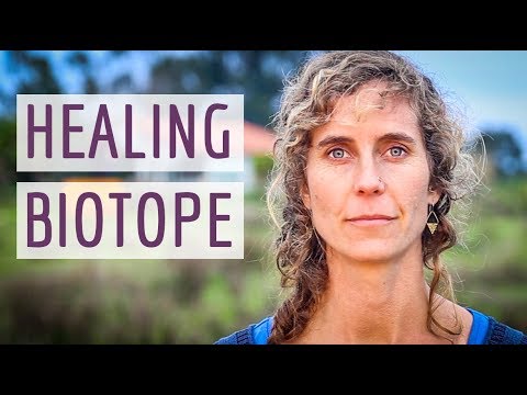 Tamera - Peace Research & Education Center | Portugal  (Official Intro Video)