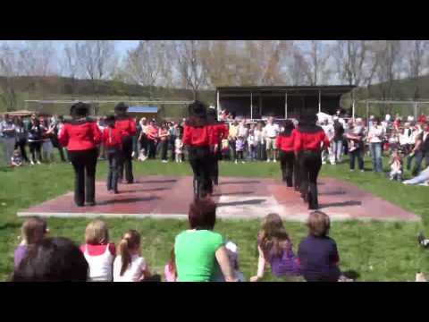 Haflinger-Weideauftrieb 2010